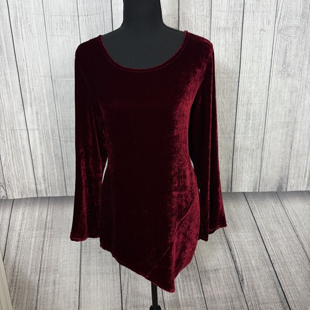 Bryn Walker Women's Small Maroon Velour Feel Asymmetrical Hemline Tunic Top